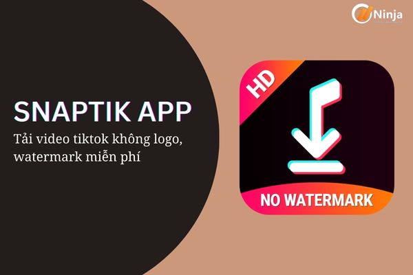 snaptik Snaptik app   Tải video tiktok không logo, watermark miễn phí