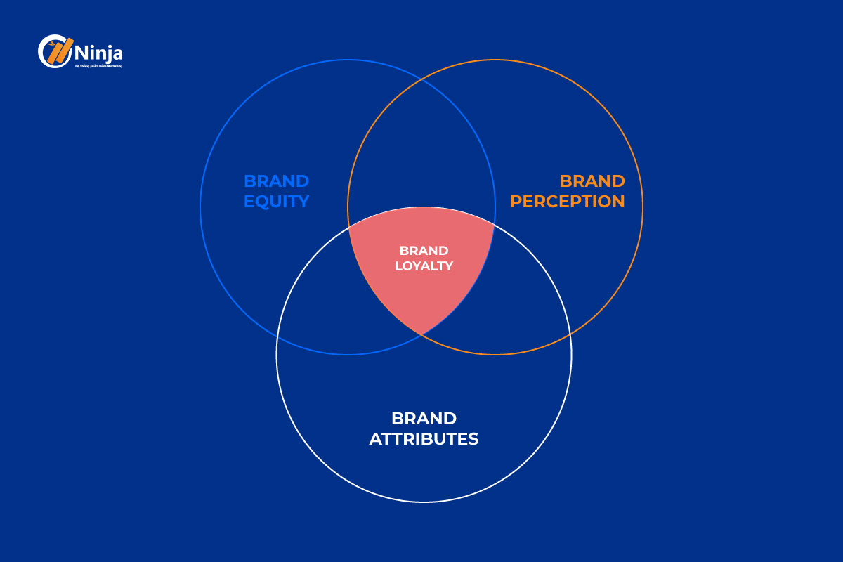 brand loyalty la gi 1 Brand Loyalty là gì? Xây dựng Brand Loyalty không ràng buộc