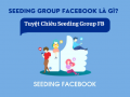 Seeding Group Facebook là gì? Giải đáp từ chuyên gia