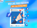 Giải đáp: Có nên mua like page facebook không?